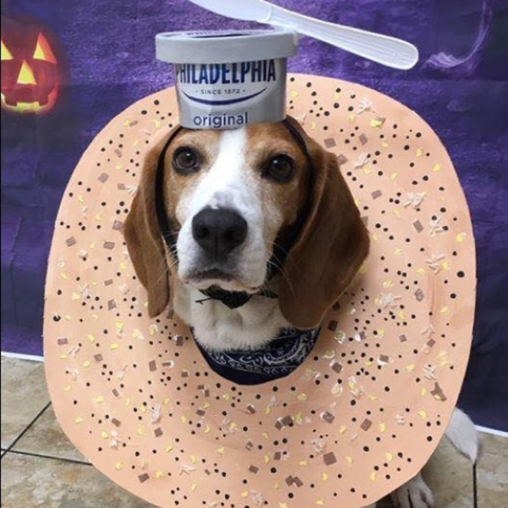 Meet your Posher, Christian